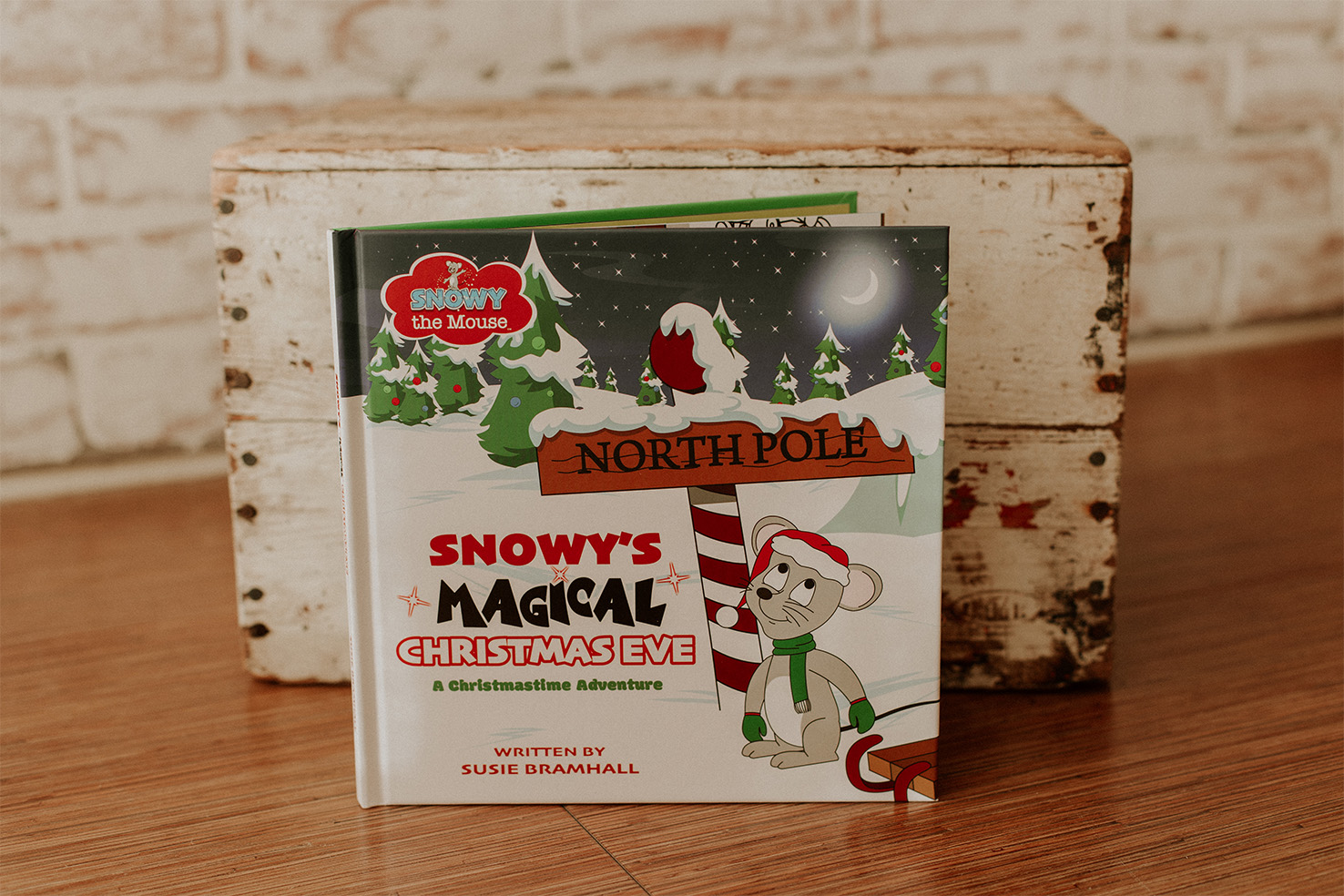 snowy-front-of-book-website